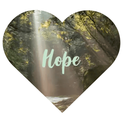 trauma peer group の癒しと希望を表す、光に包まれた森と「Hope」の文字の画像