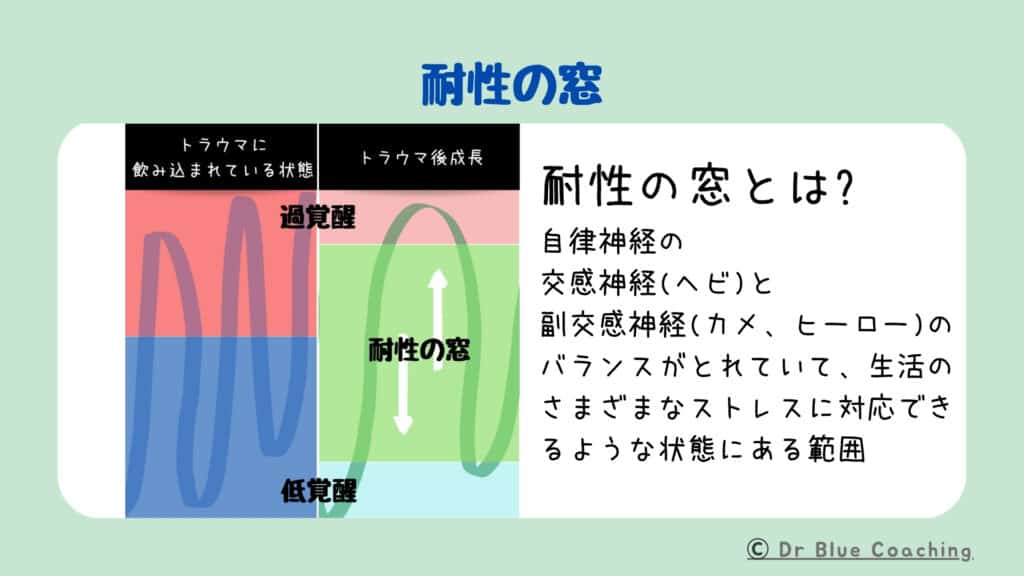 耐性の窓の図。過覚醒と低覚醒の間にある、感情的な安定とストレス耐性のあるゾーンを示す。